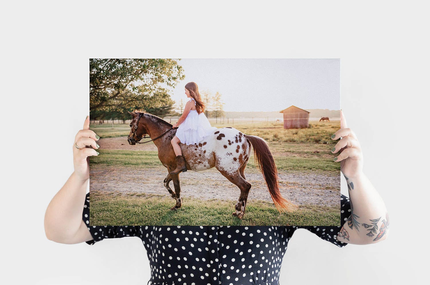 Product image 22